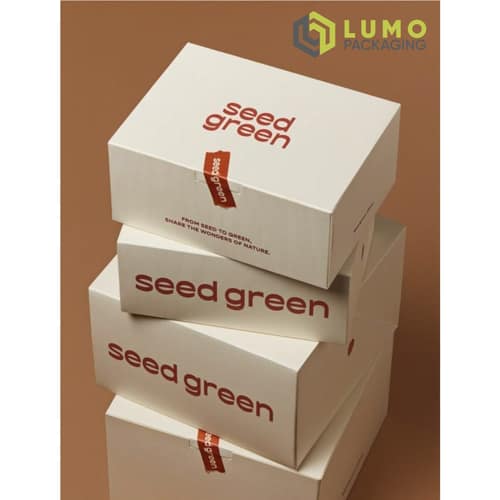 White Green Seed Print Box